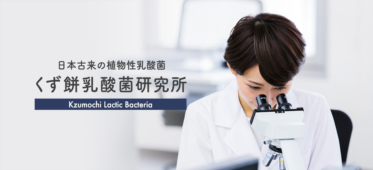 日本古来の植物性乳酸菌 くず餅乳酸菌研究所 Kzumochi Lactic Bacteria